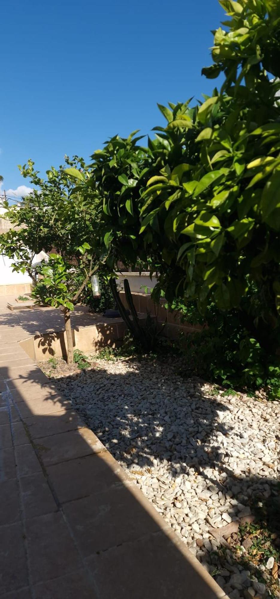 Apartmán Maestranza Berja Exteriér fotografie